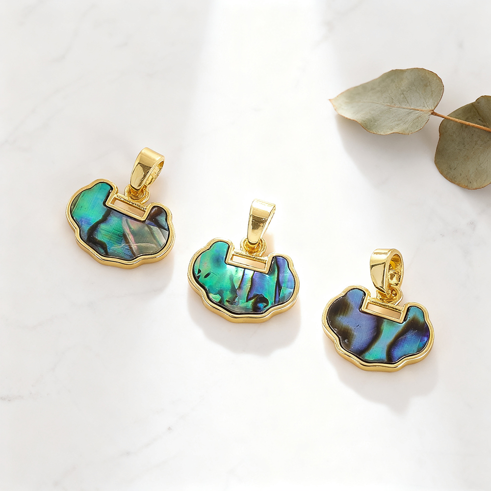 2pcs New Zealand Abalone Shell - Jewelry Making New Zealand review and price
