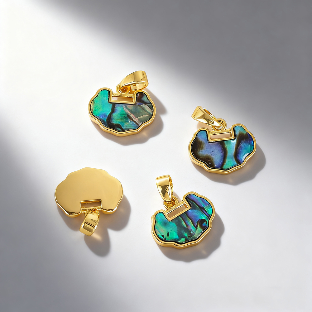 2pcs New Zealand Abalone Shell - Jewelry Making New Zealand review and price